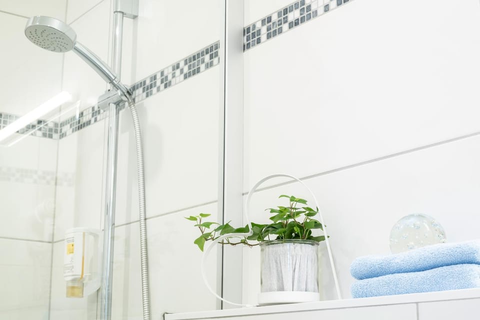 Shower, Photo of the whole room, towels