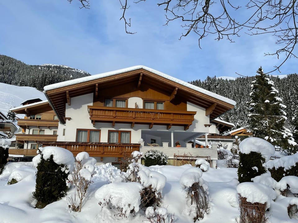 Property building, Winter