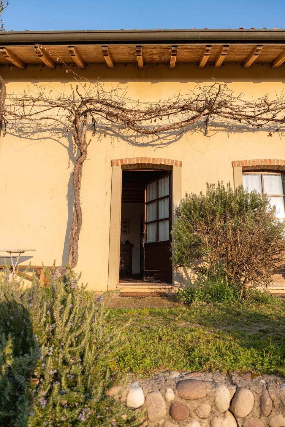 Property building, Garden, Garden view