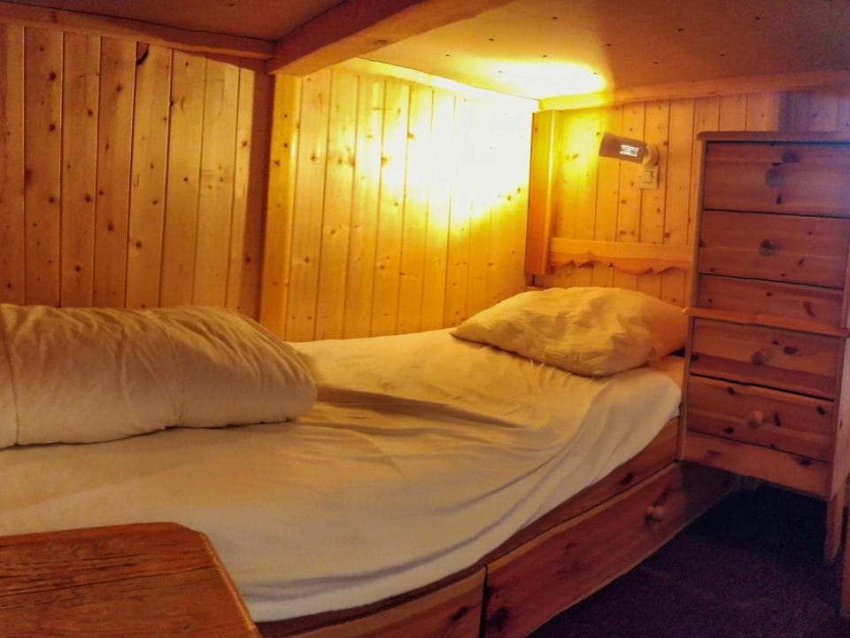 Glaciers Cocoon Apartment in Les Allues