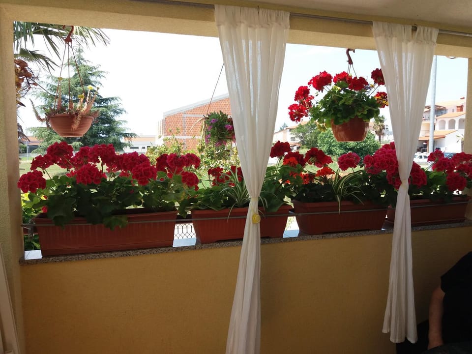 Balcony/Terrace, Garden view, Street view