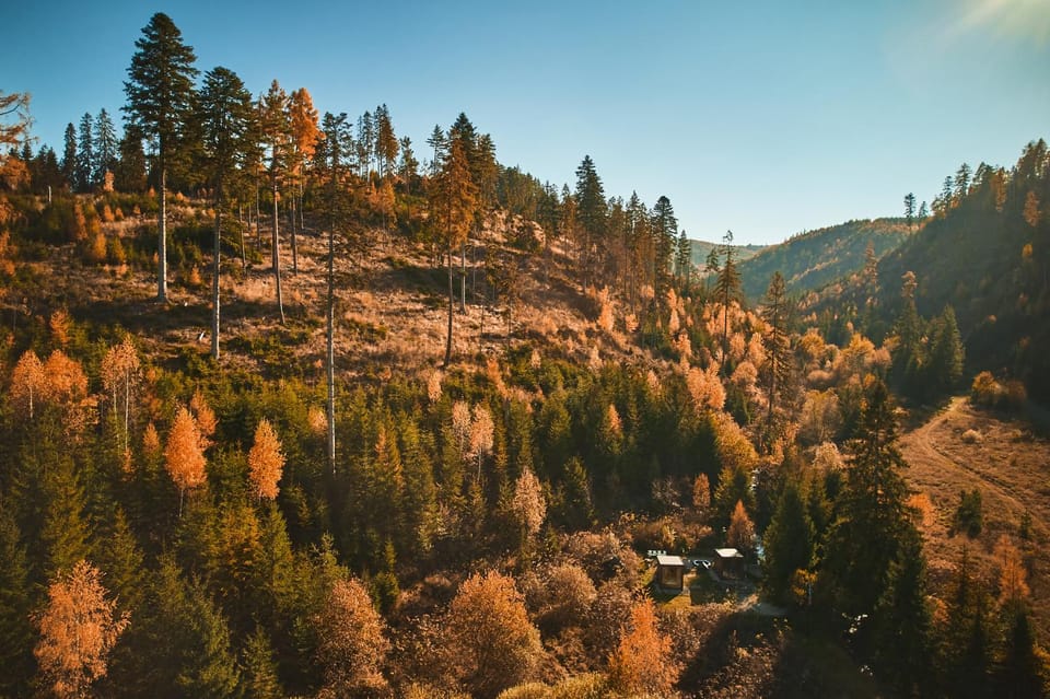 Škandinávske domčeky-lesná sauna a ubytovanie Chalet in Slovakia