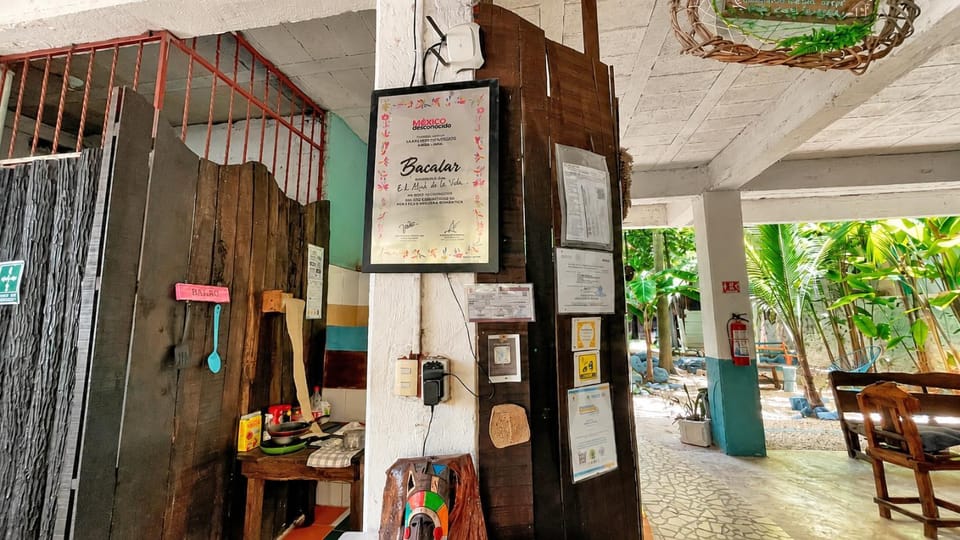El Árbol de la Vida Bed and Breakfast in Bacalar