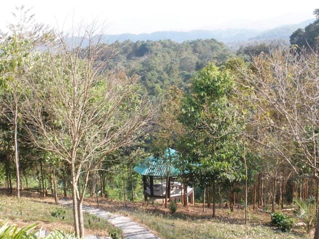 Natural landscape, Garden, Autumn