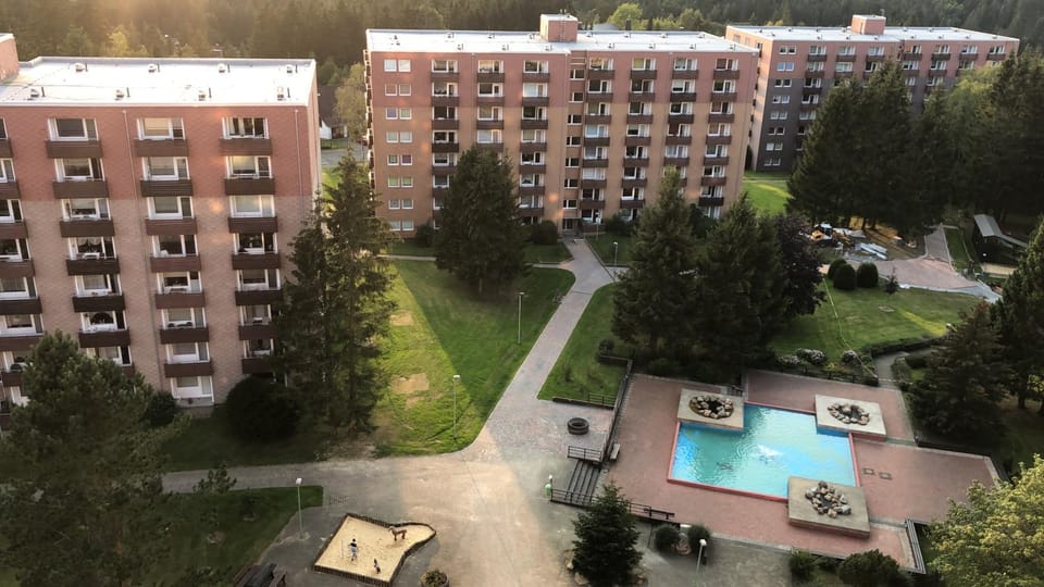 Bird's eye view, Garden view