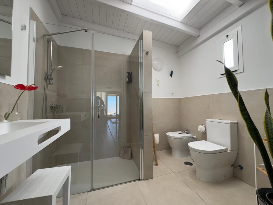 Shower, Bathroom, bidet