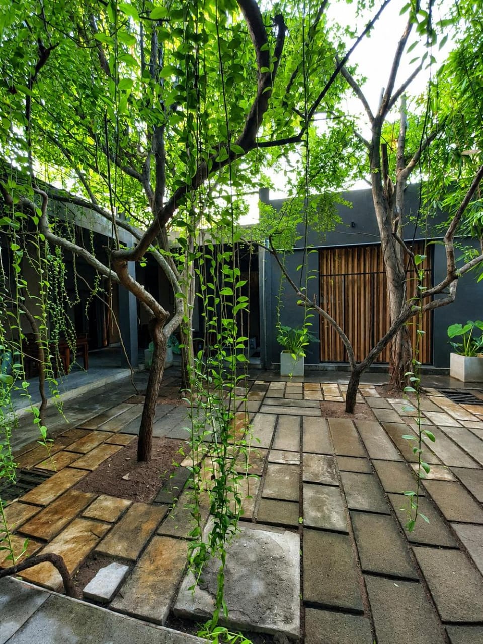 Garden, Garden view