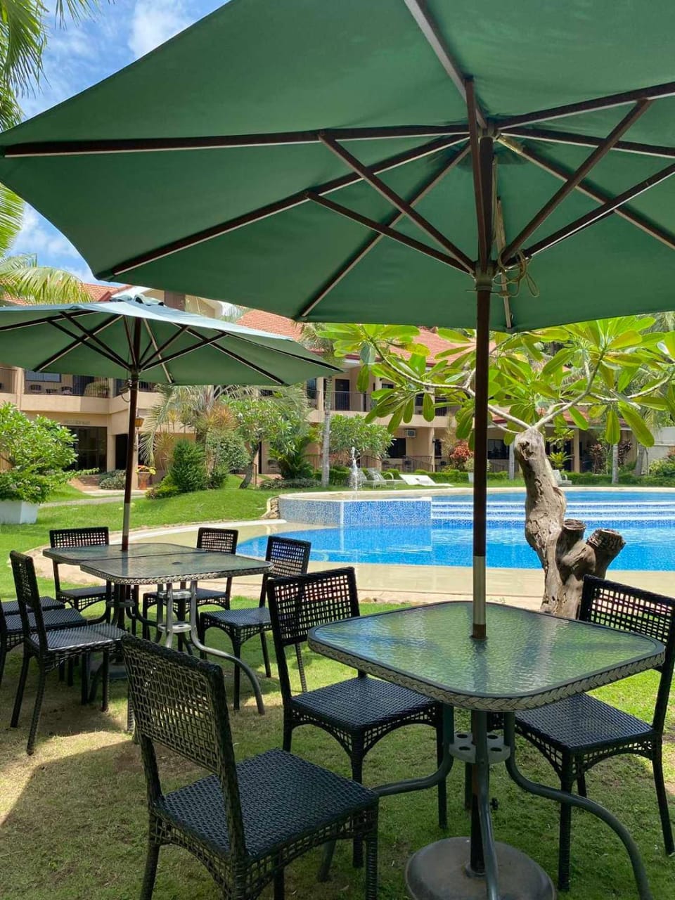 Garden, Swimming pool