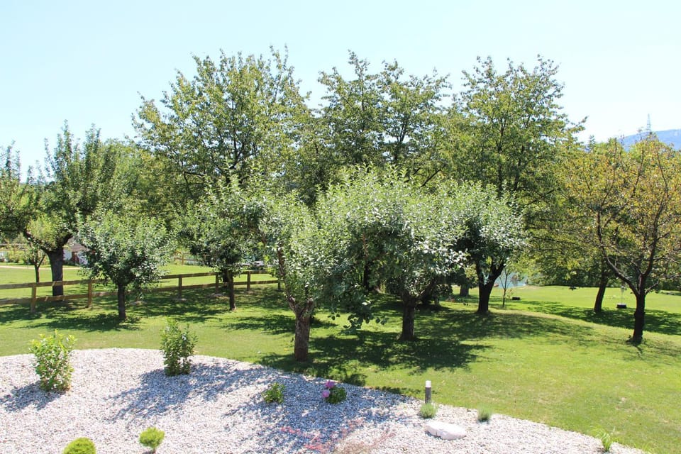 Spring, Day, Natural landscape