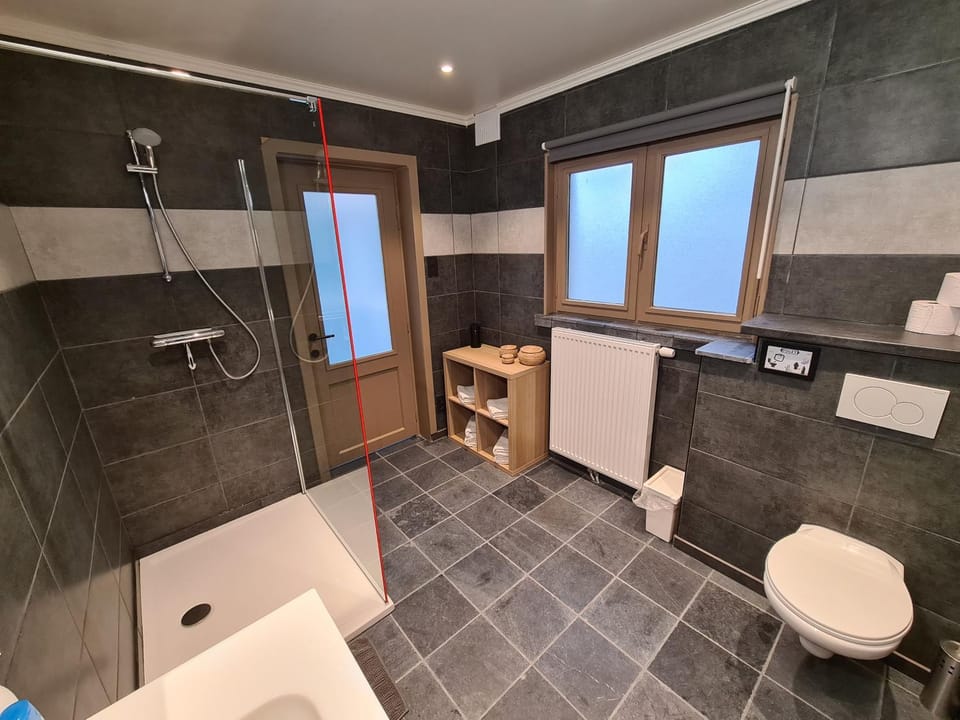 Shower, Toilet, Bathroom, towels