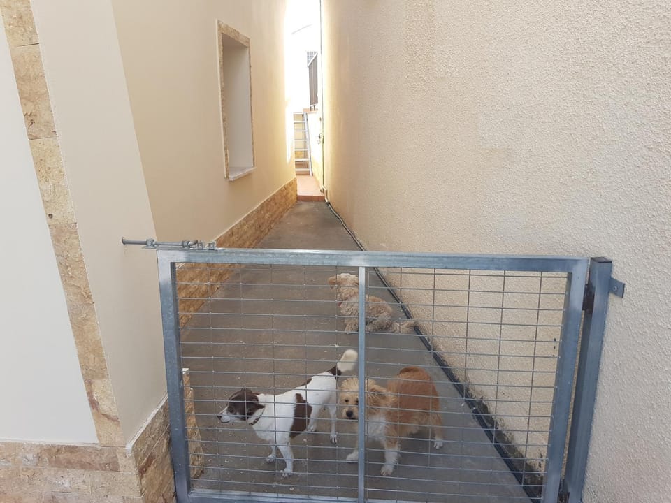 Inner courtyard view