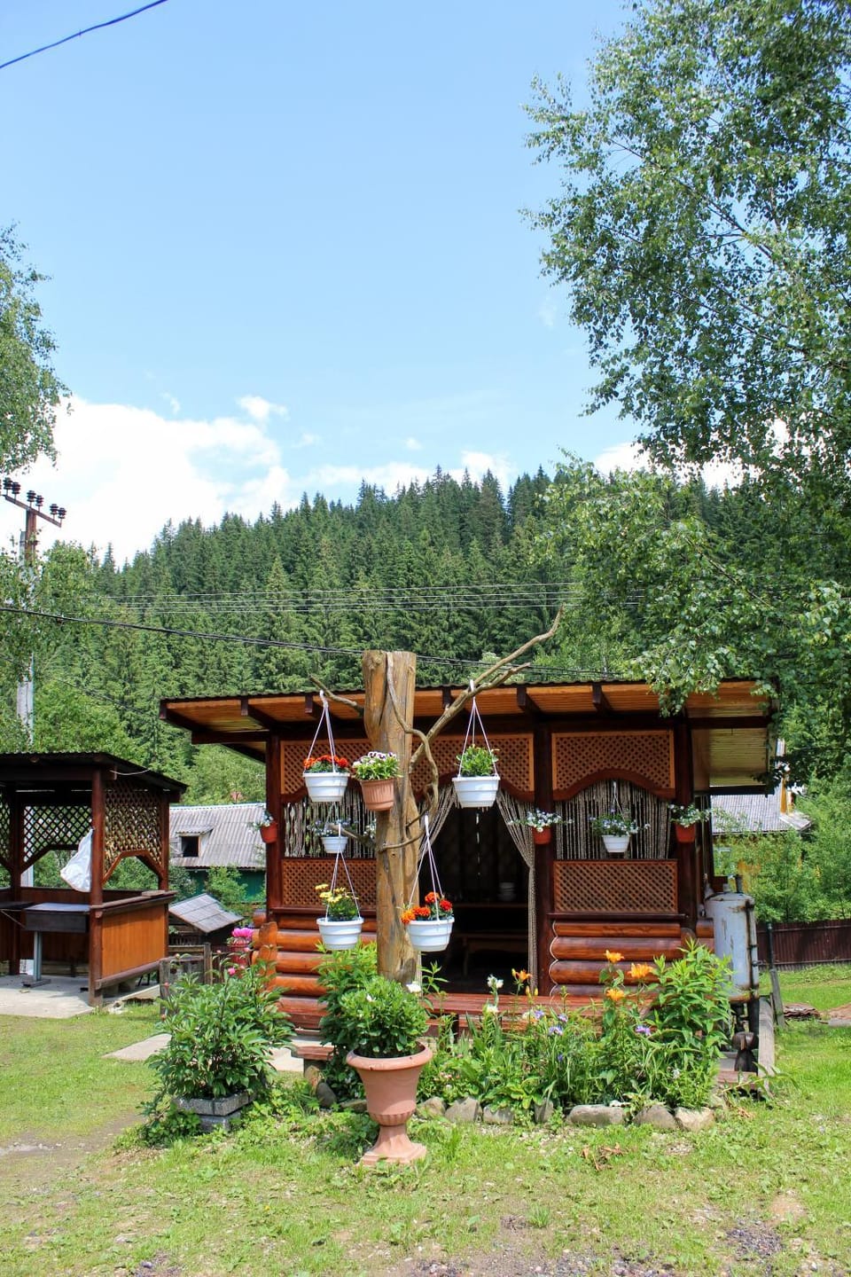 Day, Natural landscape, Garden