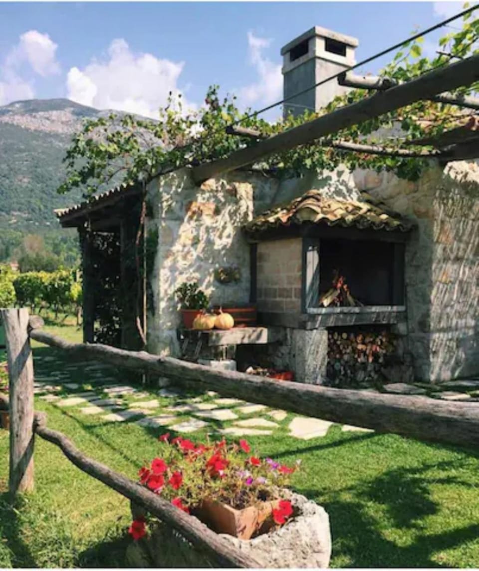 Patio, BBQ facilities