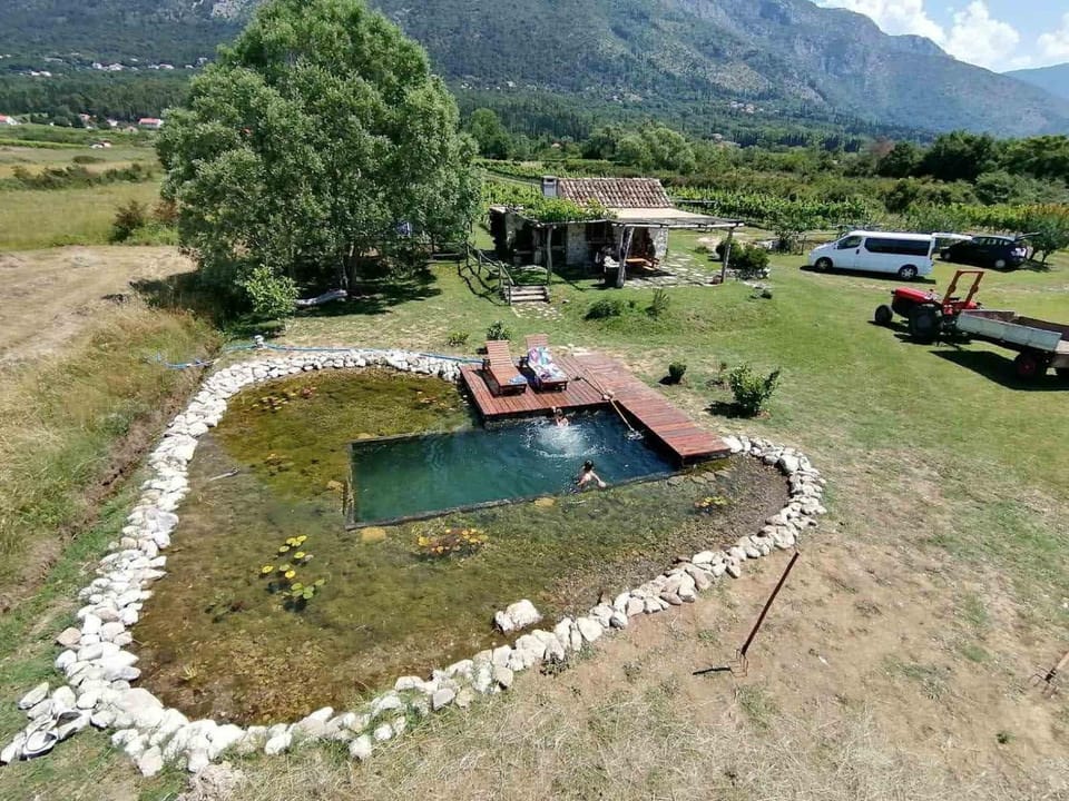 Bird's eye view, Swimming pool