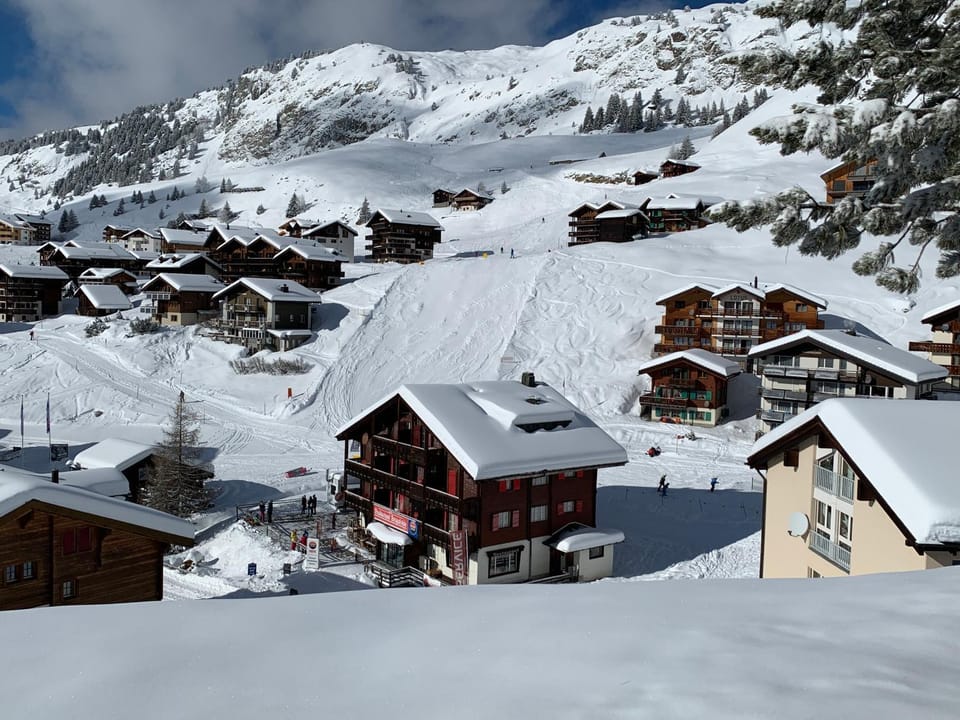 Winter, Skiing, View (from property/room)