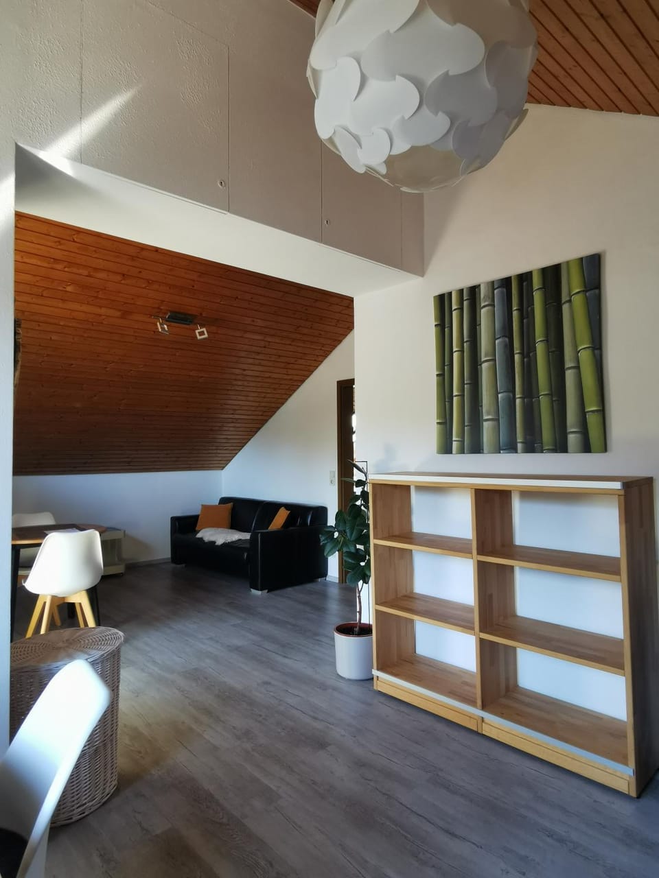 Photo of the whole room