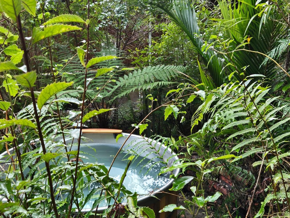 Hot Tub, Spa and wellness centre/facilities