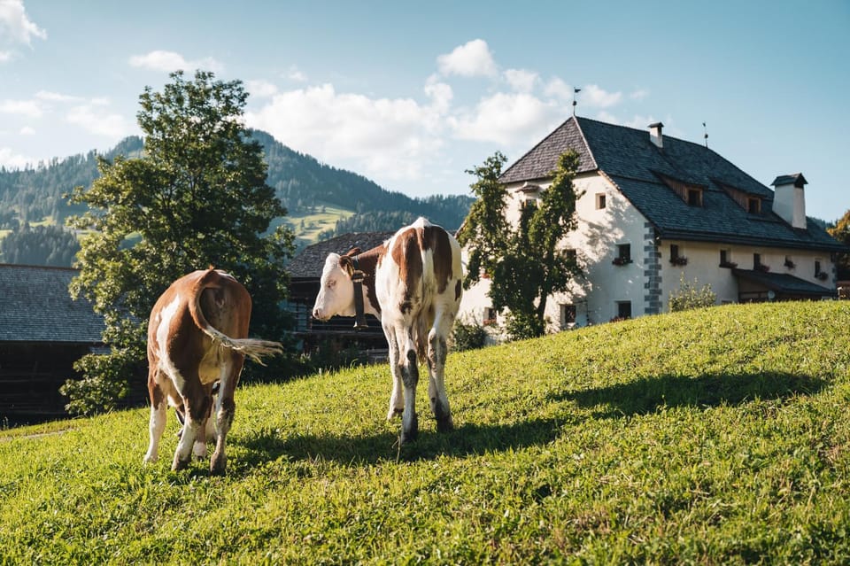 Lüch Colz Apartment in Trentino-South Tyrol