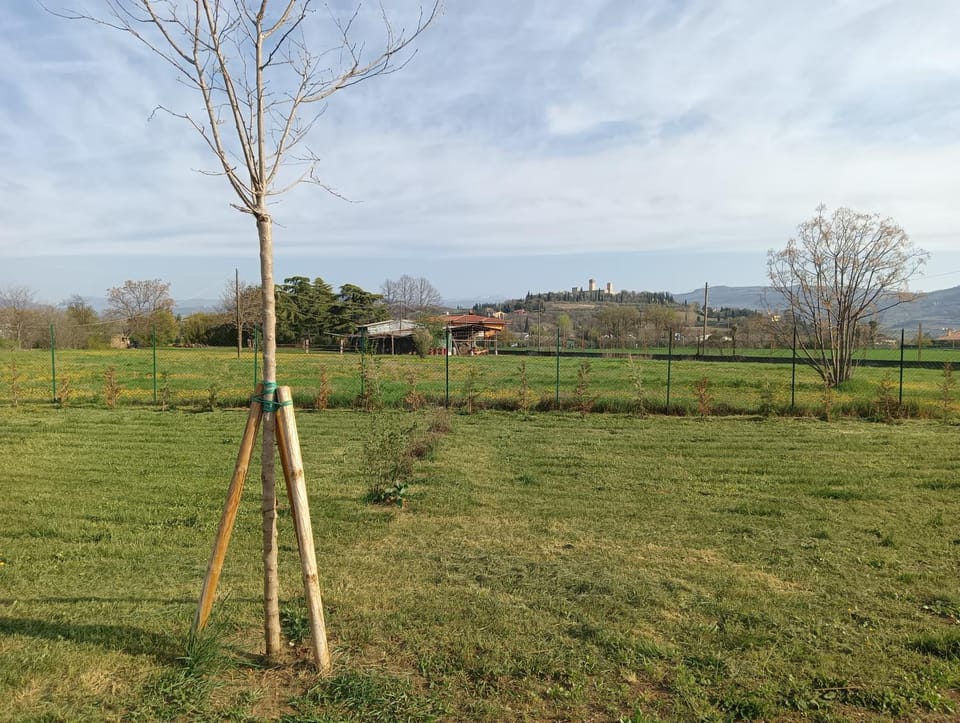 Agricampeggio Oro Verde Campground/ 
RV Resort in Verona