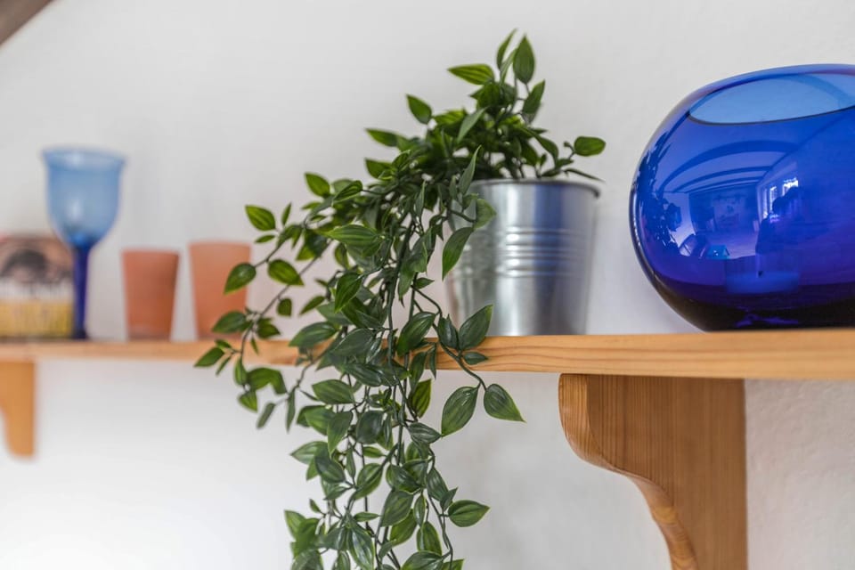 Ferienwohnung Nordseeperle Apartment in Friedrichskoog