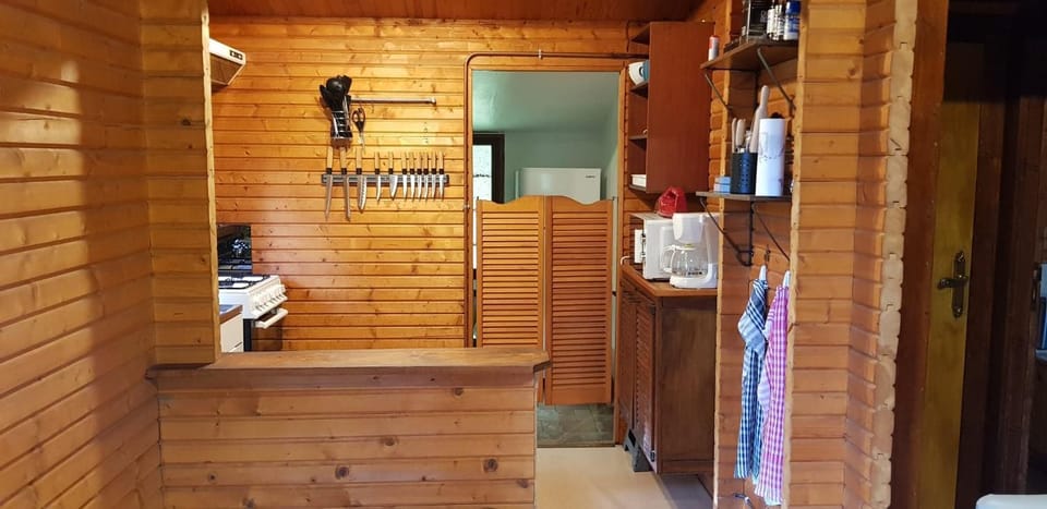 Kitchen or kitchenette, kitchen