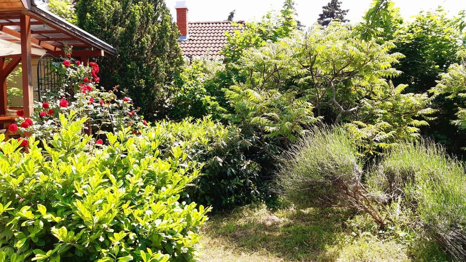 Spring, Day, Natural landscape, Garden, Garden view