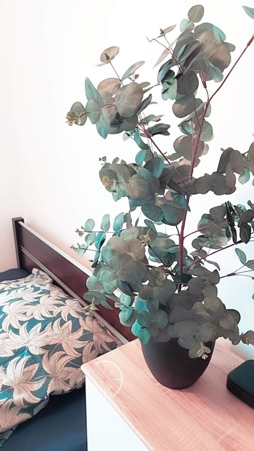 Apartament Ogrody/Jeżyce Apartment in Poznan