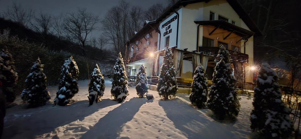 PENSIUNEA LUI CALIN Bed and Breakfast in Romania