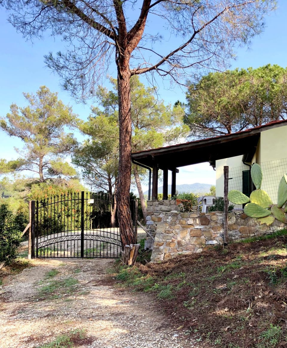 Facade/entrance, Garden, Street view