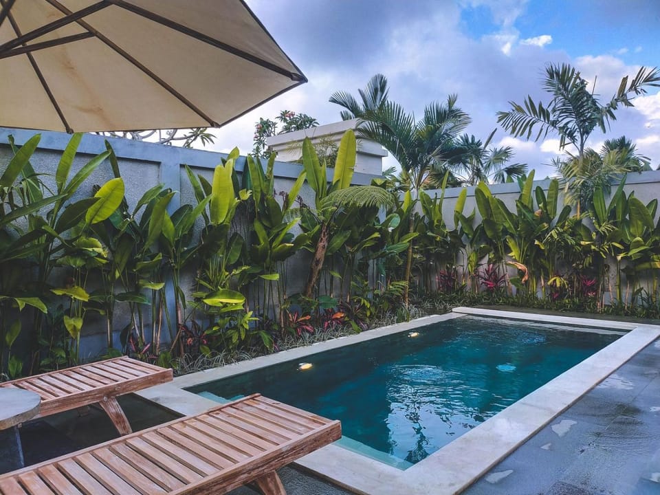 Swimming pool, Swimming pool