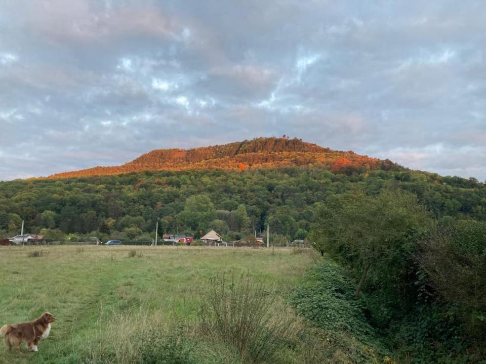 Jena Paradies Apartment in Jena