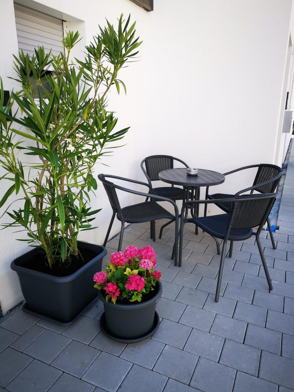 Patio, Seating area