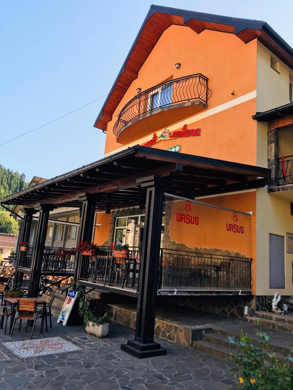 Pensiunea Montana Borșa MM Bed and Breakfast in Romania