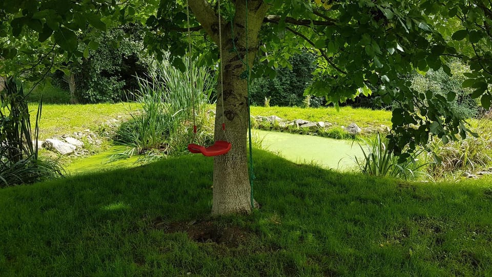 City view, Garden view