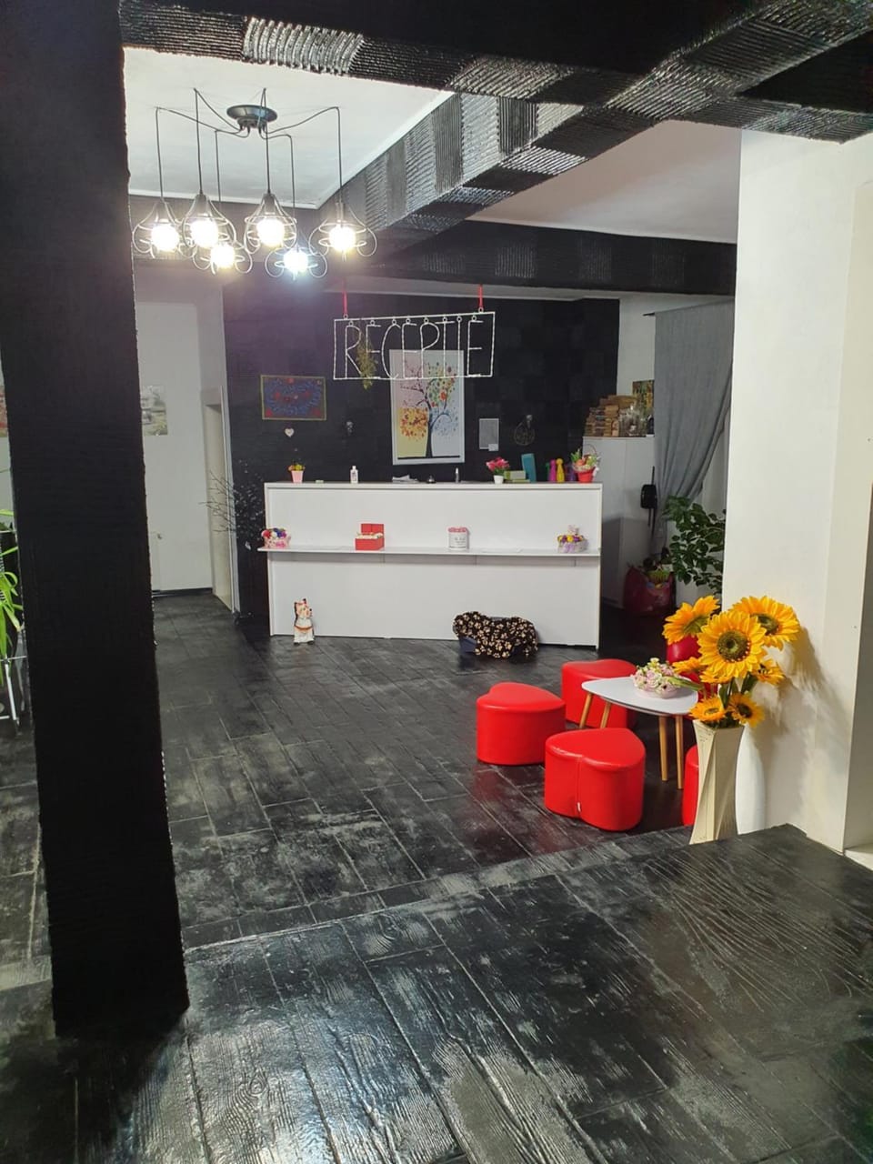 Vila 4 Anotimpuri Bed and Breakfast in Brașov County