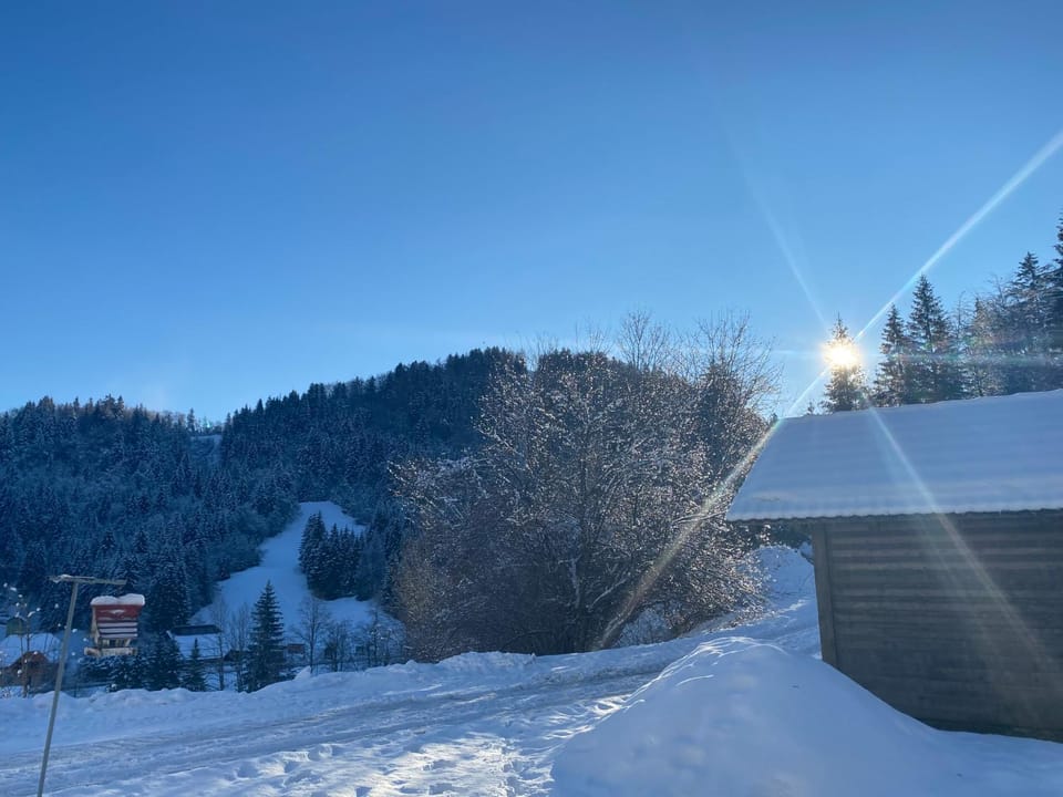 Apartma Jure Apartment in Slovenia
