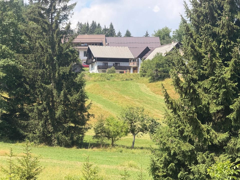 Apartma Jure Apartment in Slovenia
