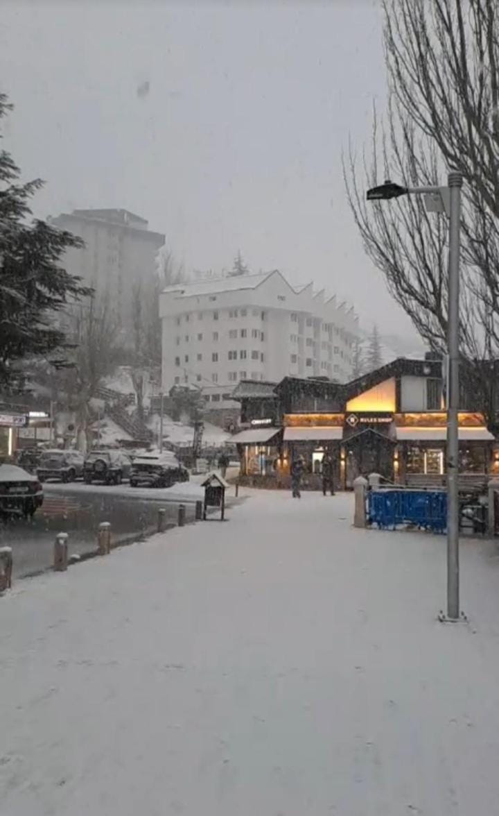 Property building, Winter