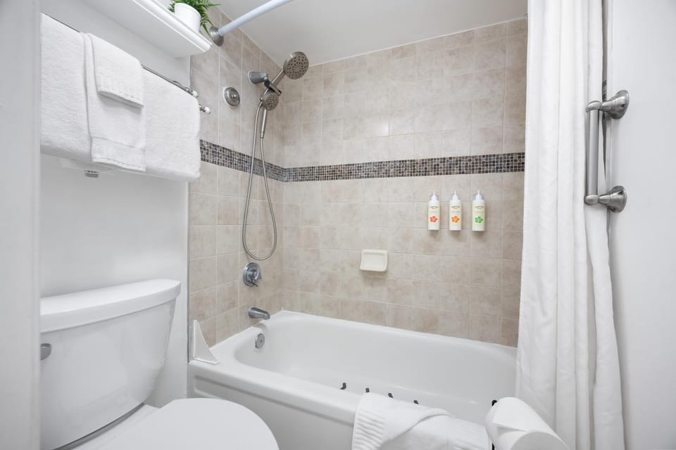 Shower, Toilet, Bathroom, Bath