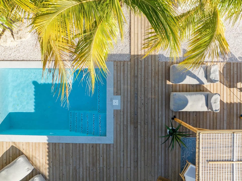 Day, Pool view, Swimming pool, sunbed