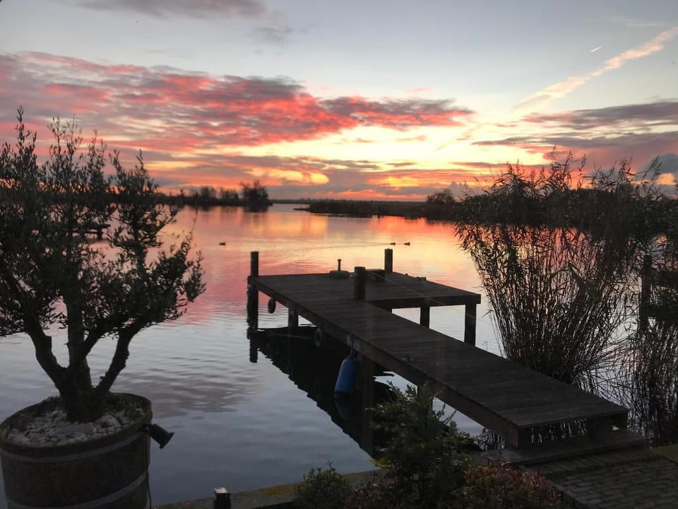 Lake view