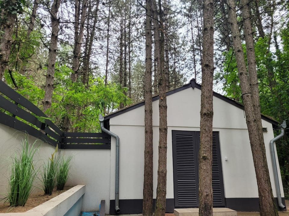 Ambiente Bed and Breakfast in Hungary