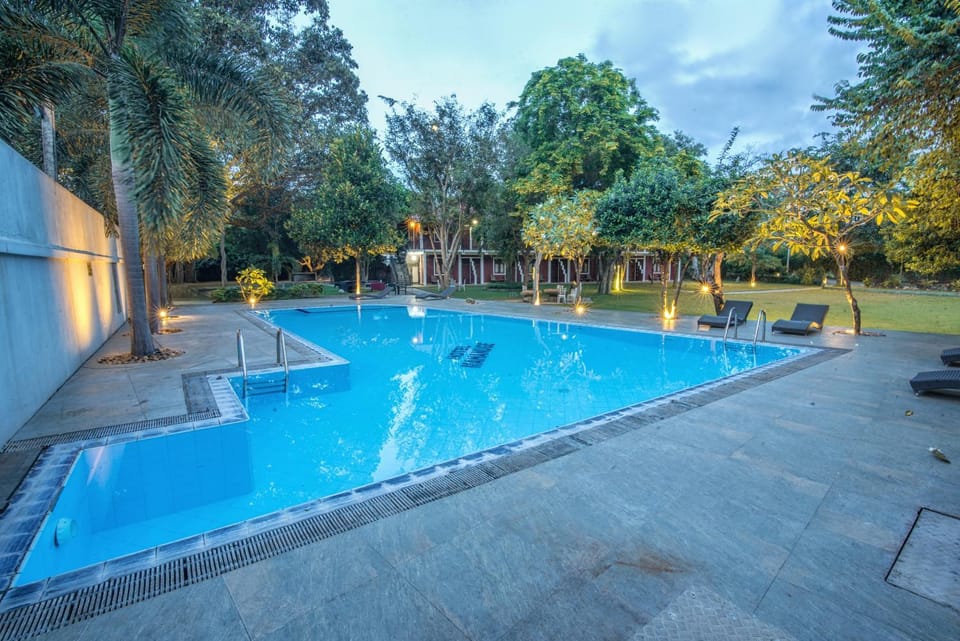 Garden, Garden view, Swimming pool