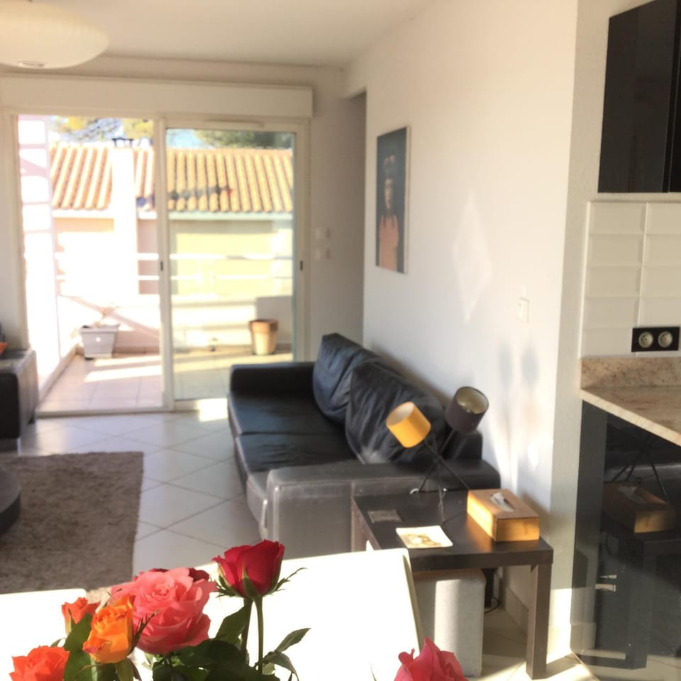 Sea view apartment Apartment in Agde
