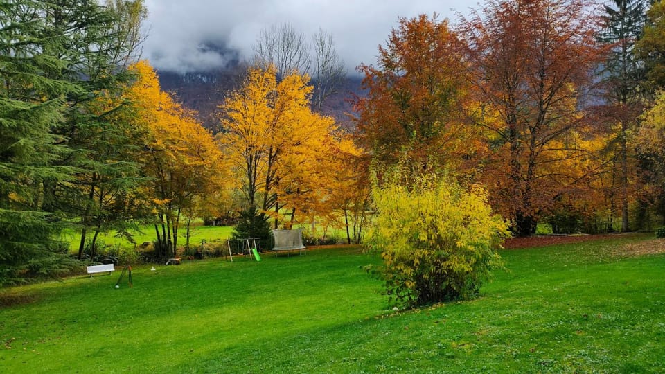 Natural landscape, Garden view