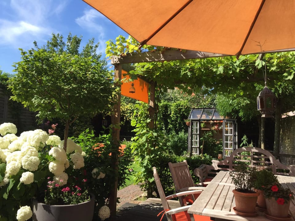 Garden, Breakfast, Continental breakfast
