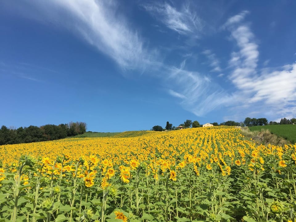 Casale dei Cinque Colli Farm Stay in Umbria