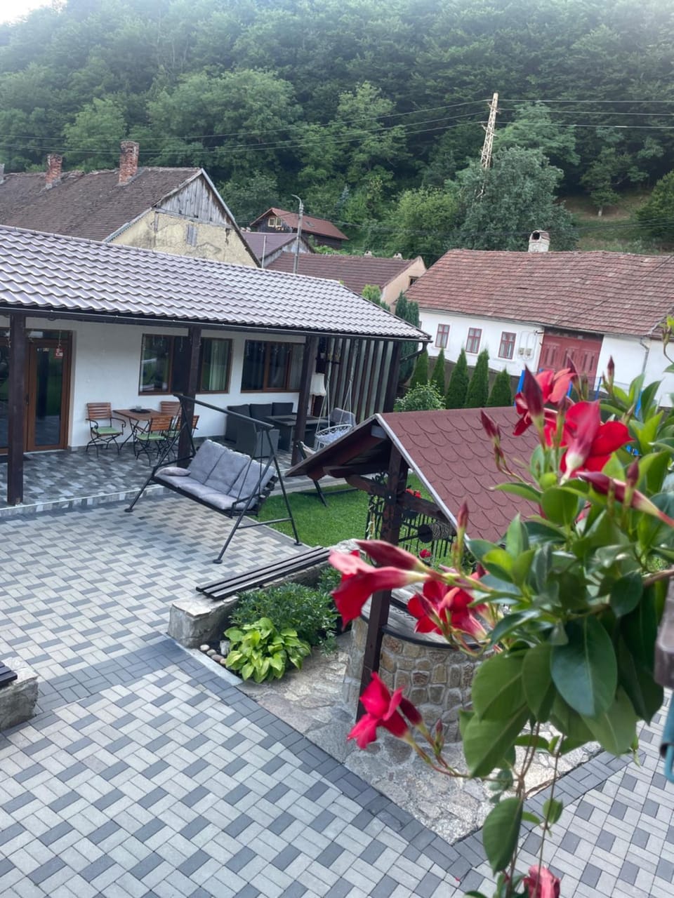 La Turcu Vacation rental in Timiș County