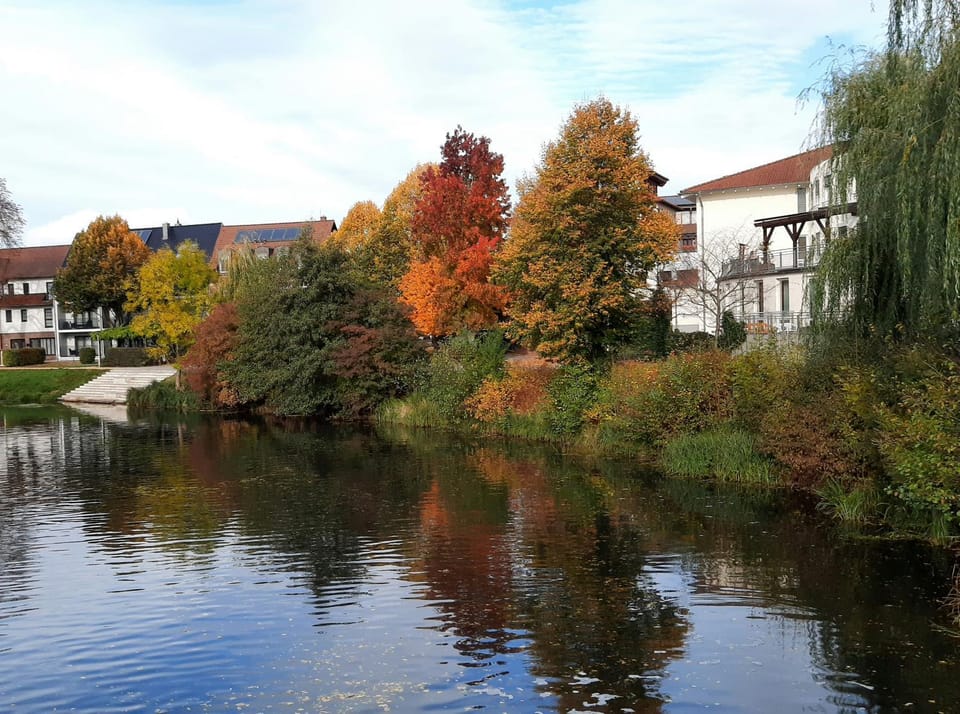 Natural landscape, Area and facilities