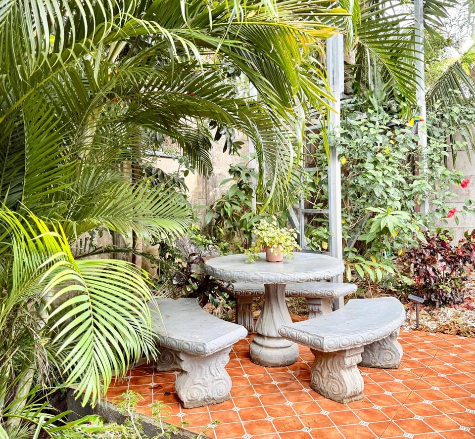 Day, Natural landscape, Garden view